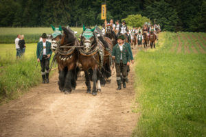 Pilgrimage, Leonhardiritt, Holzhausen Pilgrimage, Leonhardiritt, Holzhausen